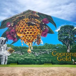 Read more about the article Amazing ‘Bee Mural’ gifted to the community of Meningie