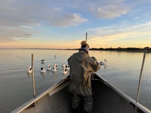 Read more about the article Coorong Fisheries launched